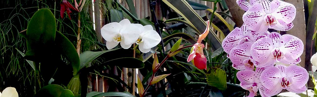 Flowers at Funeral Homes, Rhode Island  c 2017 Kevin Keough Photography